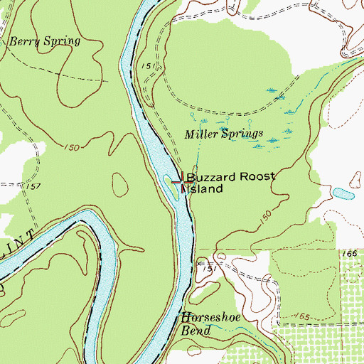 Topographic Map of Buzzard Roost Island, GA
