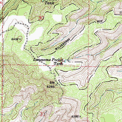 Topographic Map of Lonesome Pocket Tank, AZ