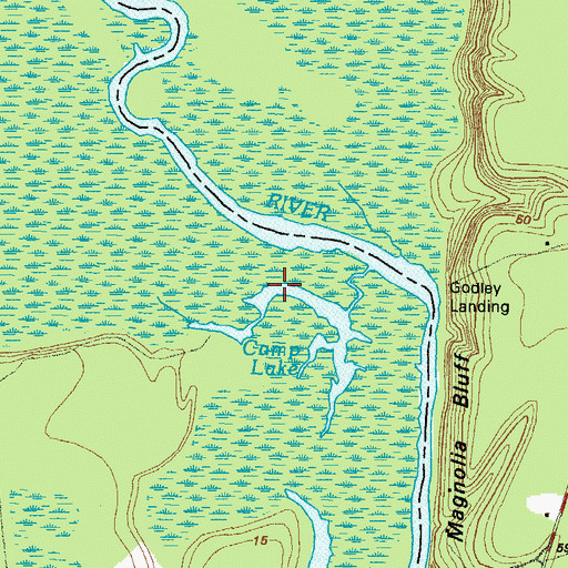 Topographic Map of Camp Lake, GA