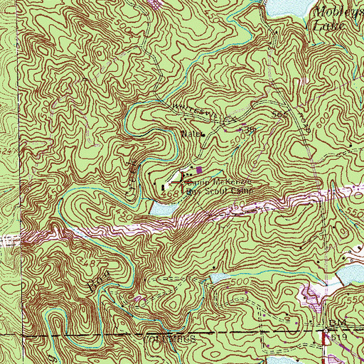 Topographic Map of Camp McKenzie Boy Scout Camp, GA