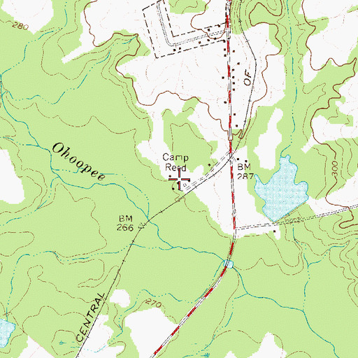 Topographic Map of Camp Reed, GA