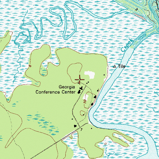 Topographic Map of Camp Reese, GA
