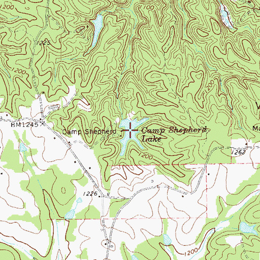 Topographic Map of Camp Shepherd Lake, GA