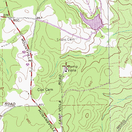 Topographic Map of Camp Viola, GA