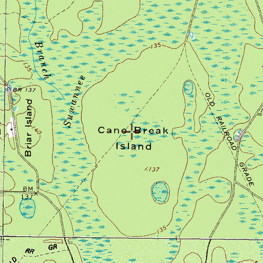 Topographic Map of Cane Break Island, GA