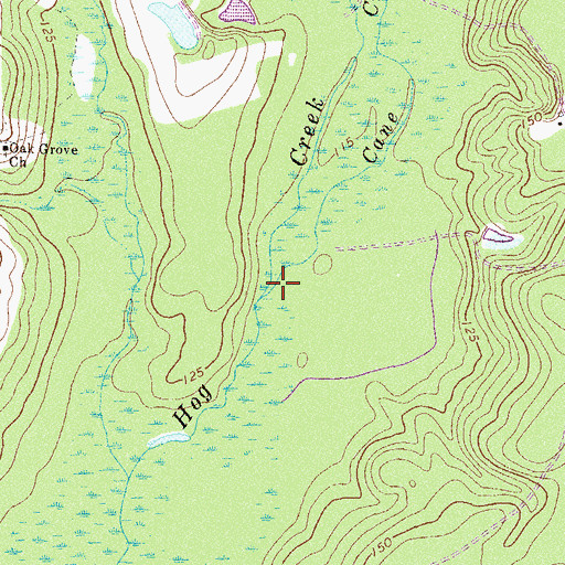 Topographic Map of Cane Creek, GA