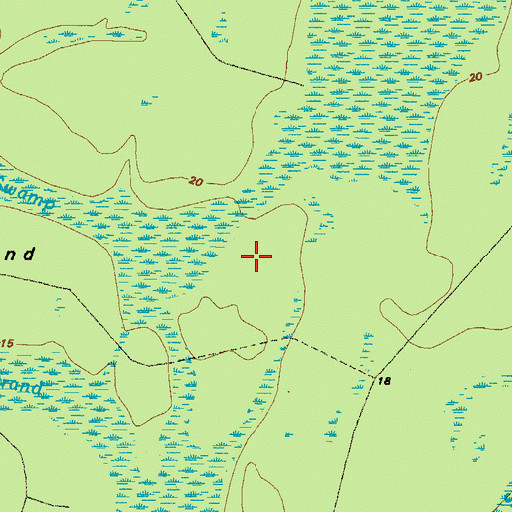 Topographic Map of Cane Swamp, GA