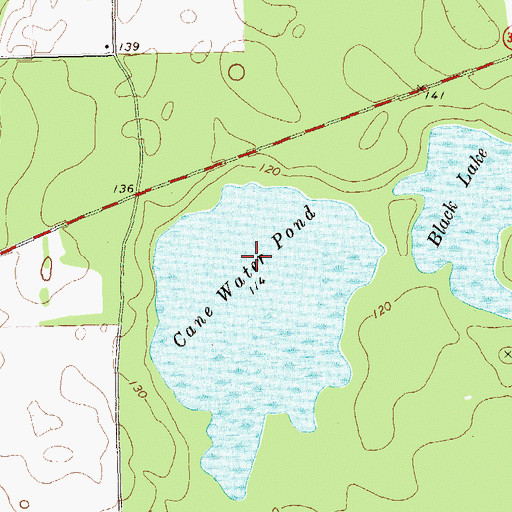 Topographic Map of Cane Water Pond, GA