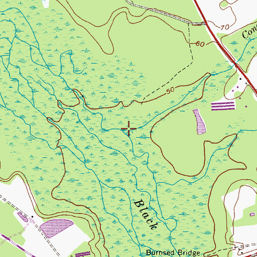 Topographic Map of Caney Branch, GA