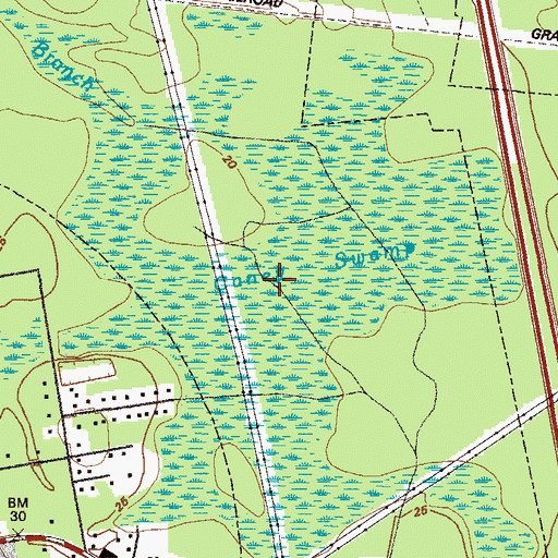 Topographic Map of Caney Swamp, GA