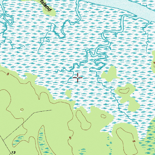 Topographic Map of Canoe Swamp, GA