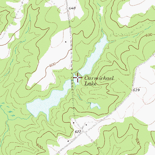 Topographic Map of Carmichael Lake, GA