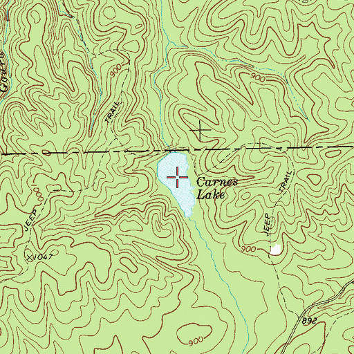 Topographic Map of Carnes Lake, GA