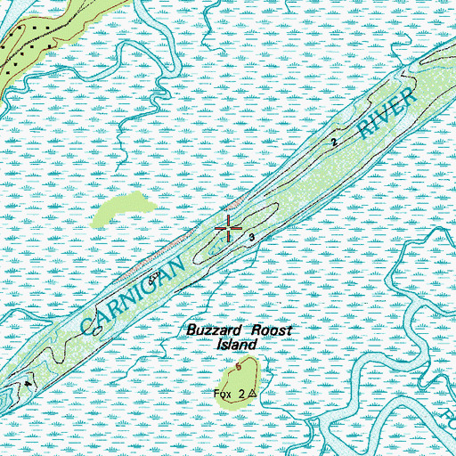 Topographic Map of Carnigan River, GA