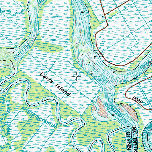 Topographic Map of Carrs Island, GA