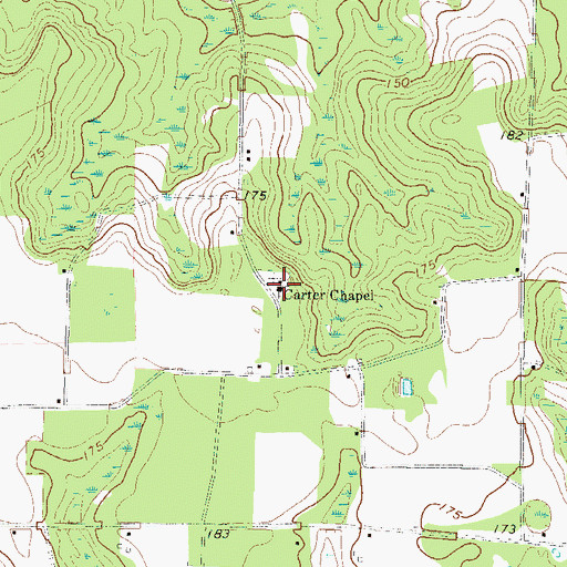 Topographic Map of Carter Chapel, GA