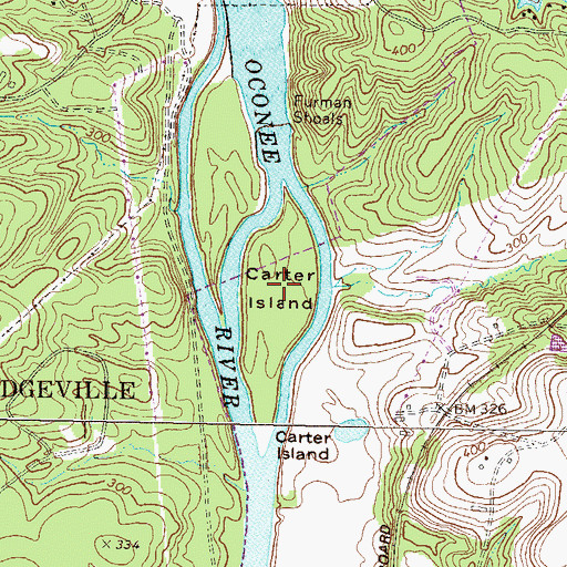 Topographic Map of Carter Island, GA