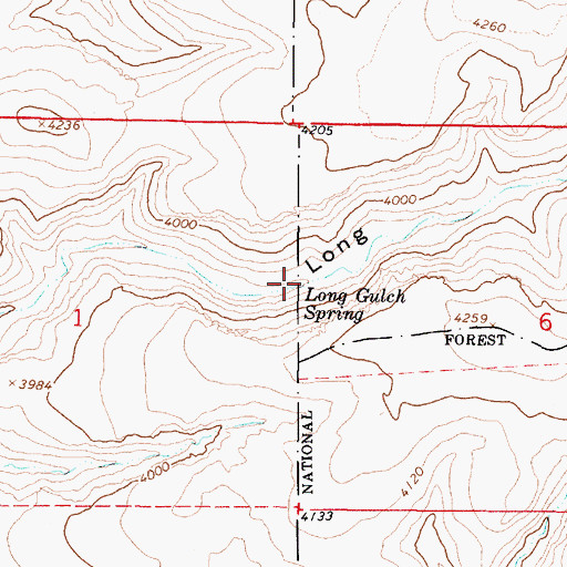 Topographic Map of Long Gulch Spring, AZ