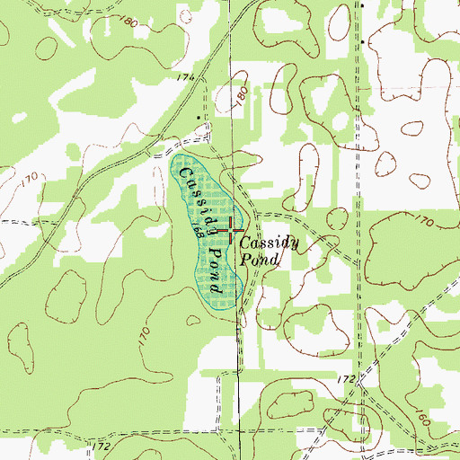 Topographic Map of Cassidy Pond, GA