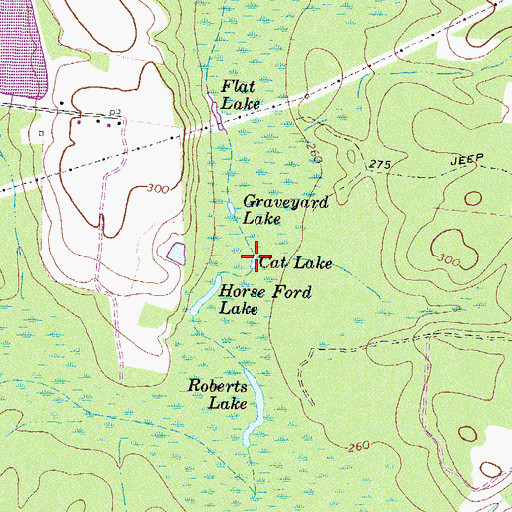 Topographic Map of Cat Lake, GA