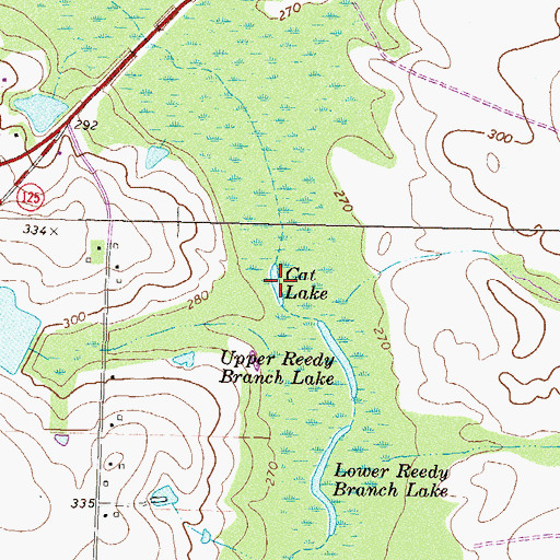 Topographic Map of Cat Lake, GA