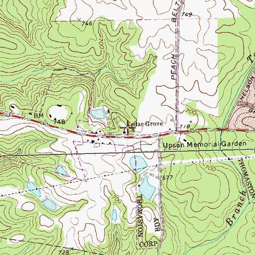 Topographic Map of Cedar Grove Church, GA