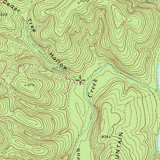 Topographic Map of Cedar Tree Hollow, GA