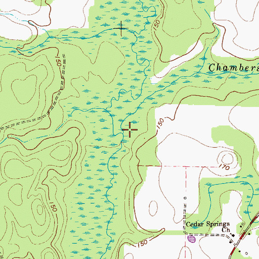 Topographic Map of Chambers Branch, GA