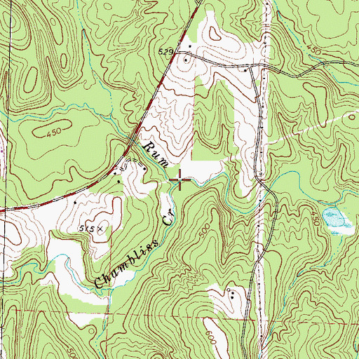 Topographic Map of Chambliss Creek, GA