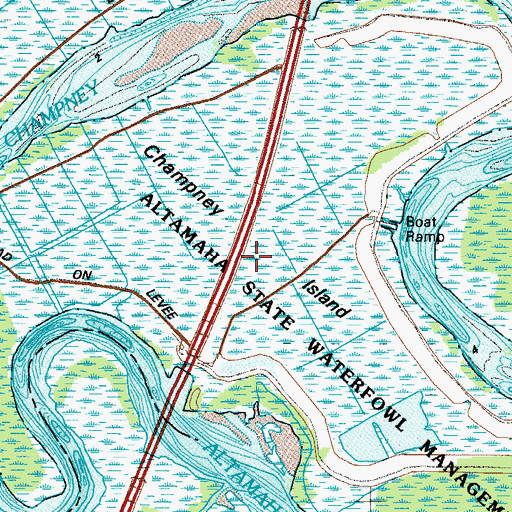 Topographic Map of Champney Island, GA