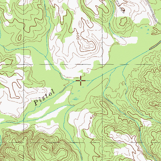 Topographic Map of Chapel Branch, GA