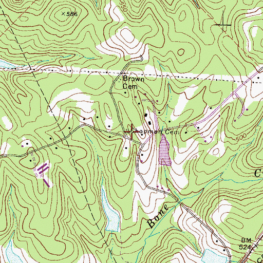 Topographic Map of Chapman Cemetery, GA