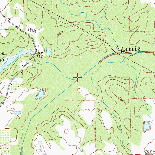 Topographic Map of Chapman Creek, GA