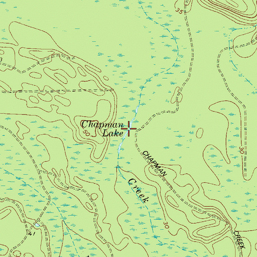 Topographic Map of Chapman Lake, GA