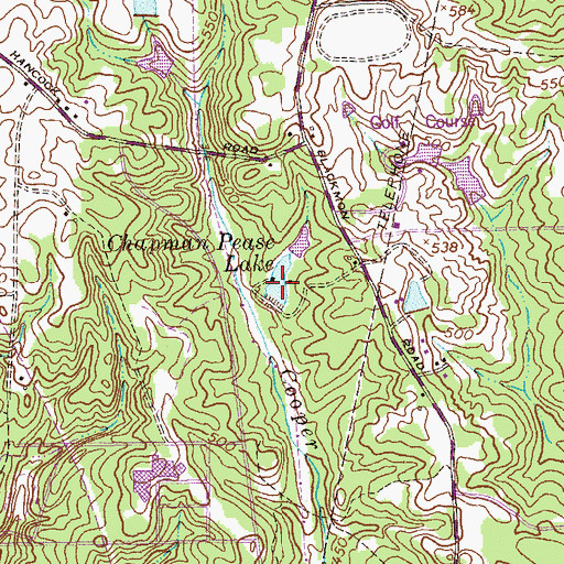 Topographic Map of Chapman Pease Lake, GA