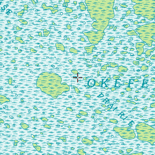 Topographic Map of Chase Prairie, GA