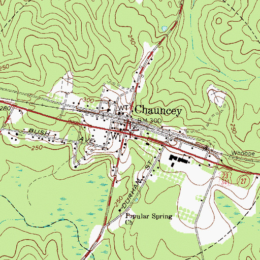 Topographic Map of Chauncey, GA