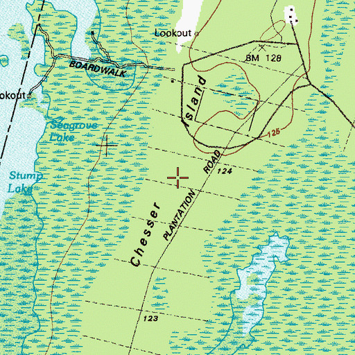 Topographic Map of Chesser Island, GA
