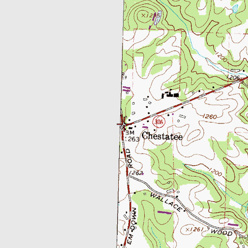 Topographic Map of Chestatee, GA