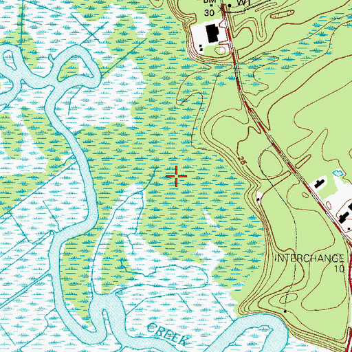Topographic Map of Chisholm Swamp, GA