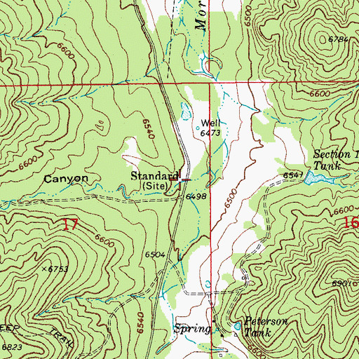 Topographic Map of Lons Canyon, AZ