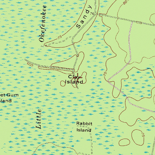 Topographic Map of Clay Island, GA