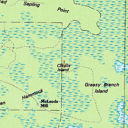 Topographic Map of Clewis Island, GA