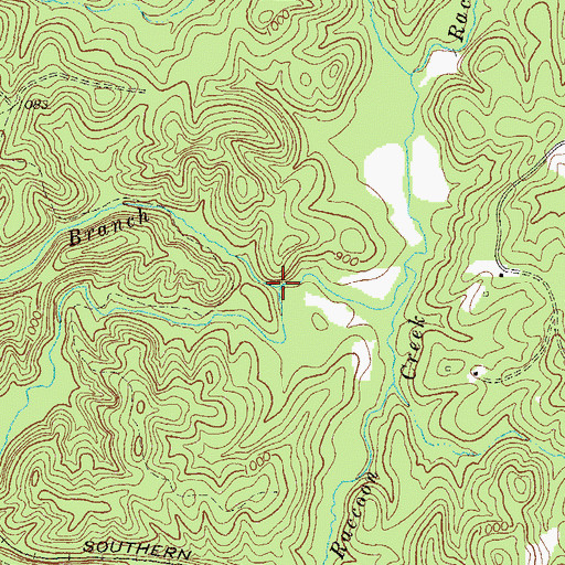 Topographic Map of Cochran Branch, GA