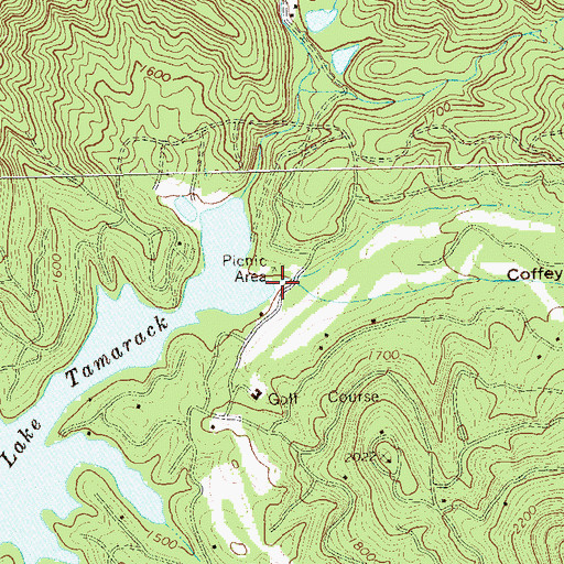 Topographic Map of Coffey Cove, GA