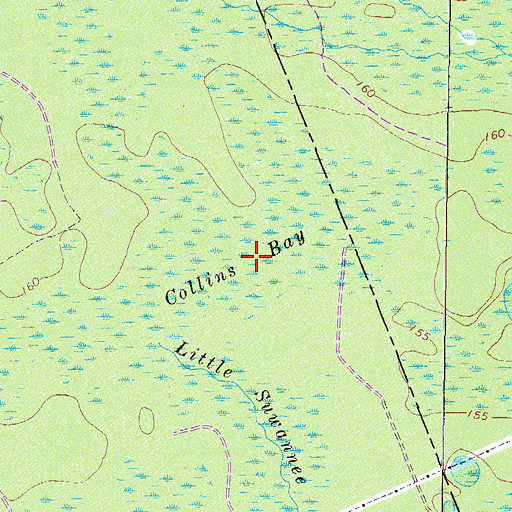 Topographic Map of Collins Bay, GA