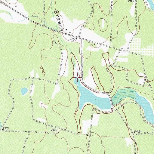 Topographic Map of Collins Branch, GA
