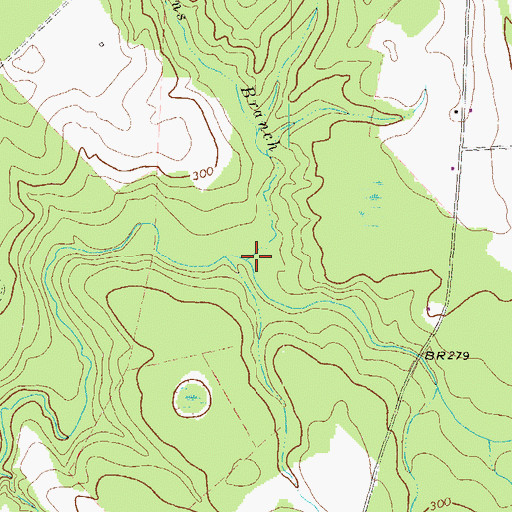 Topographic Map of Collins Branch, GA