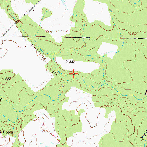 Topographic Map of Collins Branch, GA