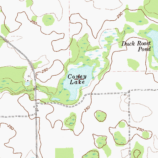 Topographic Map of Coney Lake, GA